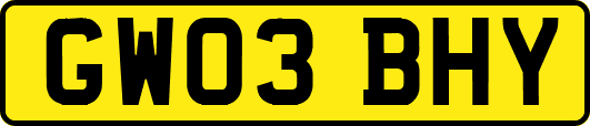 GW03BHY