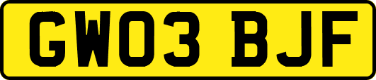 GW03BJF