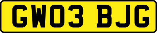 GW03BJG