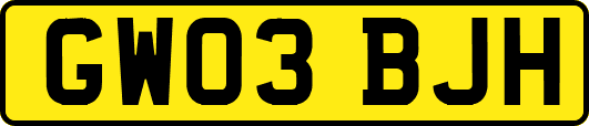 GW03BJH