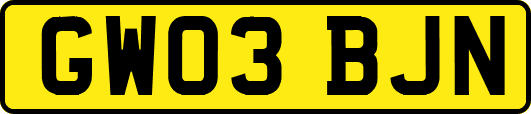 GW03BJN