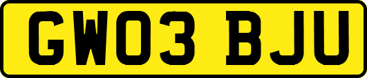GW03BJU