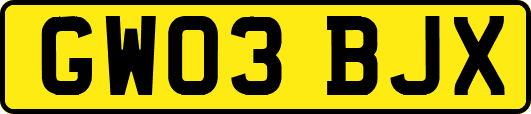 GW03BJX