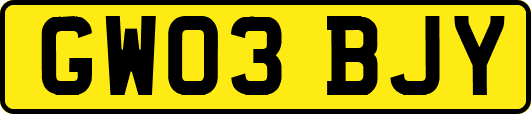GW03BJY