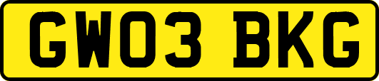 GW03BKG