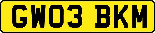 GW03BKM