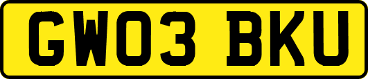 GW03BKU