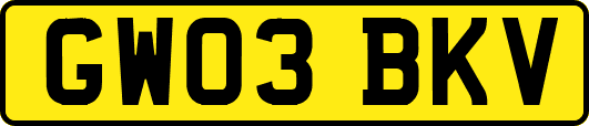 GW03BKV