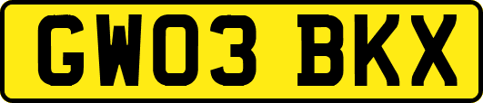 GW03BKX