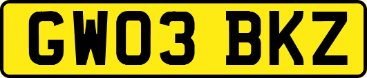 GW03BKZ
