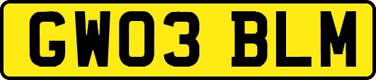 GW03BLM
