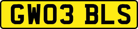 GW03BLS