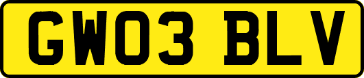 GW03BLV