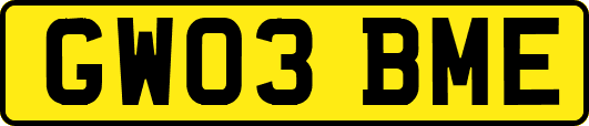 GW03BME