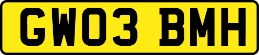 GW03BMH