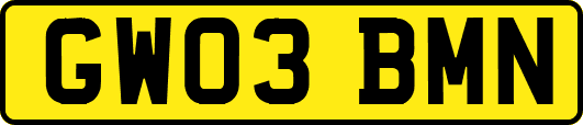 GW03BMN