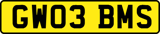 GW03BMS