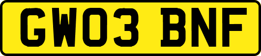 GW03BNF