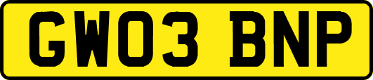 GW03BNP
