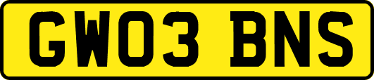 GW03BNS