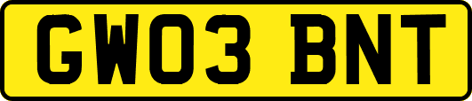 GW03BNT
