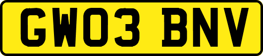 GW03BNV