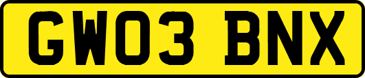 GW03BNX