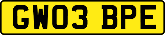 GW03BPE