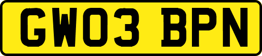 GW03BPN