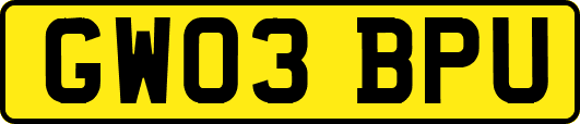 GW03BPU