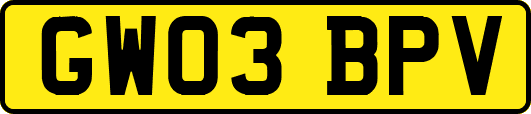 GW03BPV