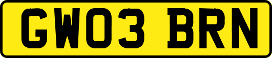 GW03BRN