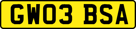 GW03BSA