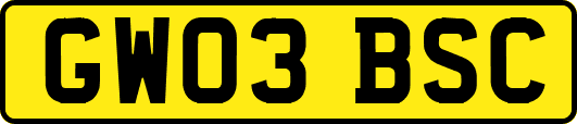 GW03BSC