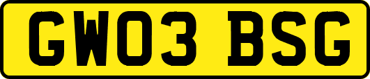 GW03BSG