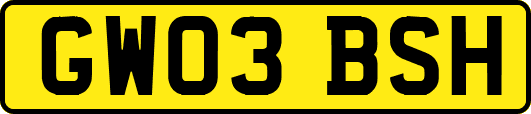 GW03BSH