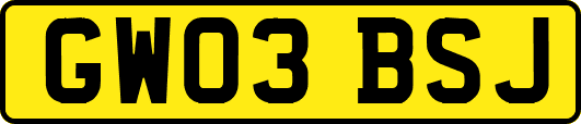 GW03BSJ