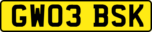 GW03BSK