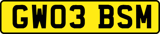 GW03BSM