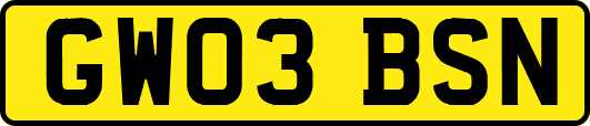 GW03BSN