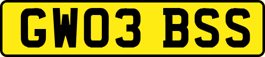 GW03BSS