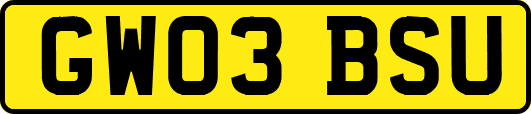 GW03BSU
