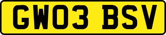 GW03BSV