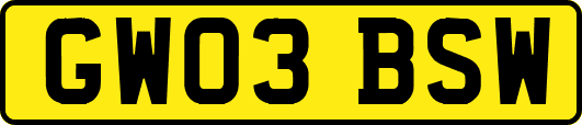 GW03BSW
