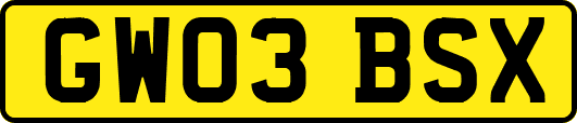 GW03BSX