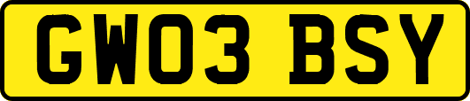 GW03BSY
