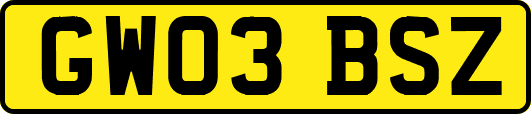 GW03BSZ