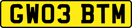 GW03BTM