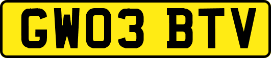 GW03BTV