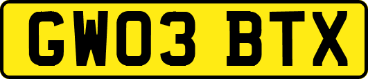 GW03BTX